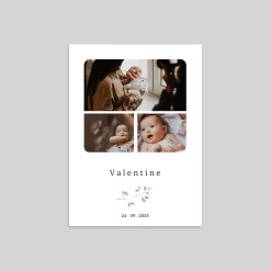 Faire-part Naissance Fille^Planet cards Douceur d'eucalyptus