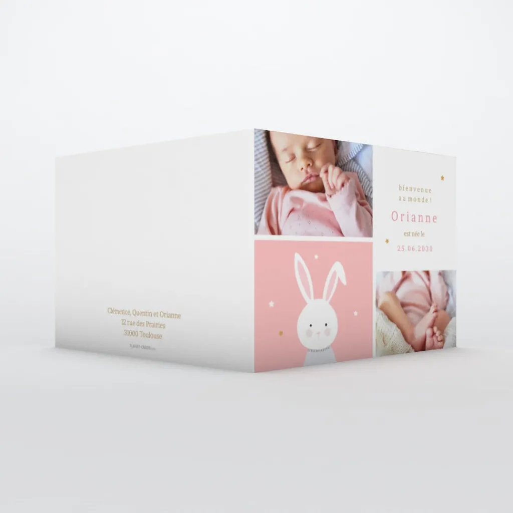 Faire-part Naissance Fille | Faire-part Naissance Animaux^Planet cards Doux petit Lapin Fille
