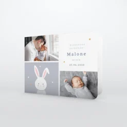 Faire-part Naissance Animaux | Faire-part Naissance Garçon^Planet cards Doux petit Lapin Garçon