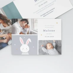 Faire-part Naissance Animaux | Faire-part Naissance Garçon^Planet cards Doux petit Lapin Garçon
