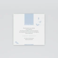 Carte Remerciement Décès^Planet cards Envol de papillons