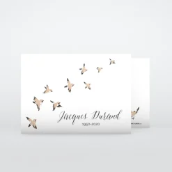 Carte Remerciement Décès | Faire-part Décès^Planet cards Envolée d'oiseaux