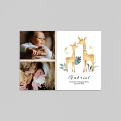 Faire-part Naissance Animaux | Faire-part Naissance Garçon^Planet cards Famille Girafe