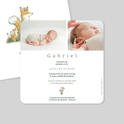 Faire-part Naissance Animaux | Créations En Collaboration^Planet cards Famille Renard