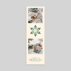 Carte De Vœux Nature^Planet cards Flocon Végétal Photo
