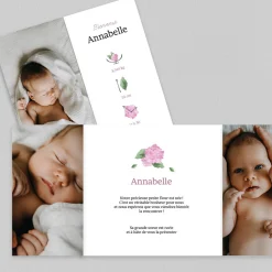 Faire-part Naissance Fille^Planet cards Hortensia et Pictos