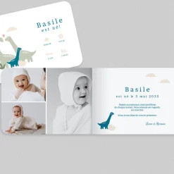 Faire-part Naissance Animaux | Faire-part Naissance Garçon^Planet cards La Famille Dinosaure