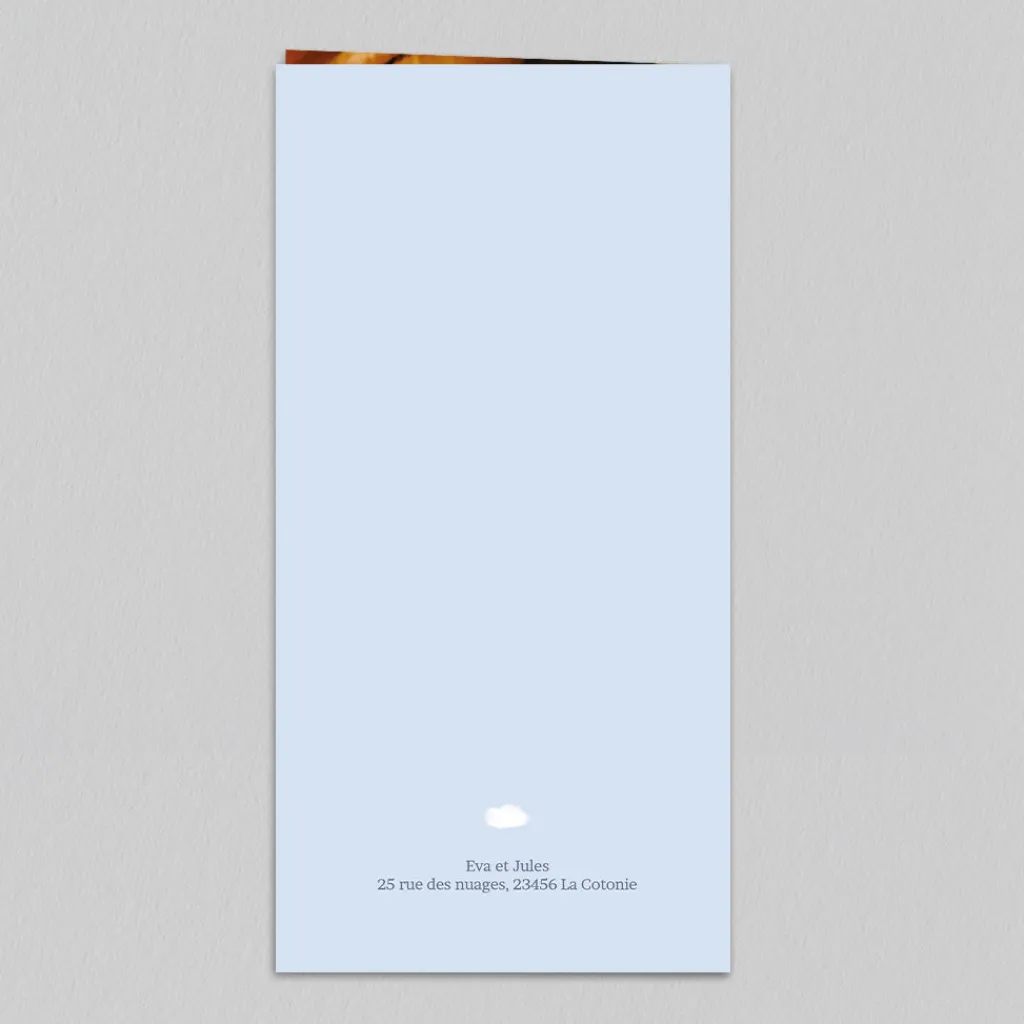 Menu Baptême^Planet cards Lainage Nuage
