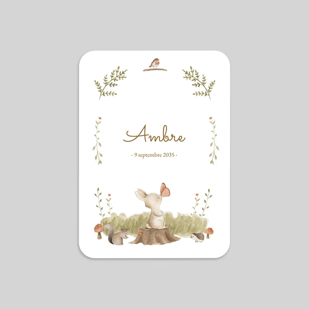 Faire-part Naissance Animaux | Faire-part Naissance Fille^Planet cards Lapin de la forêt