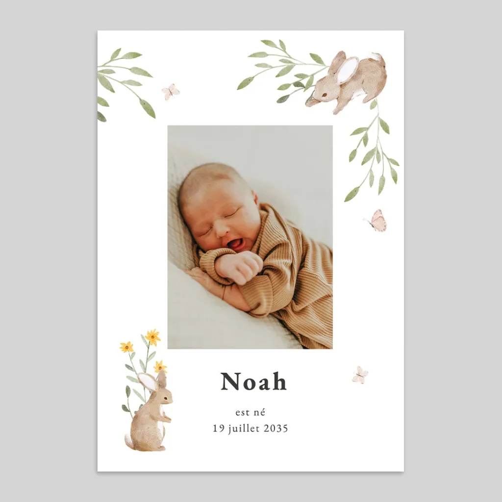 Faire-part Naissance Animaux | Faire-part Naissance Fille^Planet cards Lapin des champs