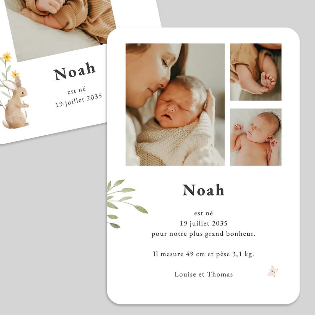 Faire-part Naissance Animaux | Faire-part Naissance Fille^Planet cards Lapin des champs