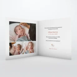Faire-part Naissance Animaux | Faire-part Naissance Fille^Planet cards Lapin et Liberty