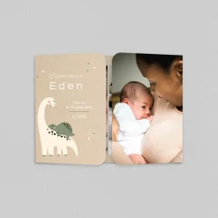 Faire-part Naissance Animaux | Faire-part Naissance Garçon^Planet cards Maman et Bébé Dino