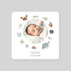 Faire-part Naissance Animaux | Faire-part Naissance Fille^Planet cards Marin d'eau douce