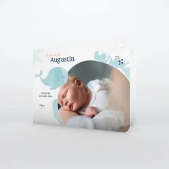 Faire-part Naissance Animaux | Faire-part Naissance Garçon^Planet cards Mon Doudou Baleine Turquoise
