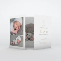 Faire-part Naissance Animaux | Faire-part Naissance Garçon^Planet cards Mon Petit Lapin