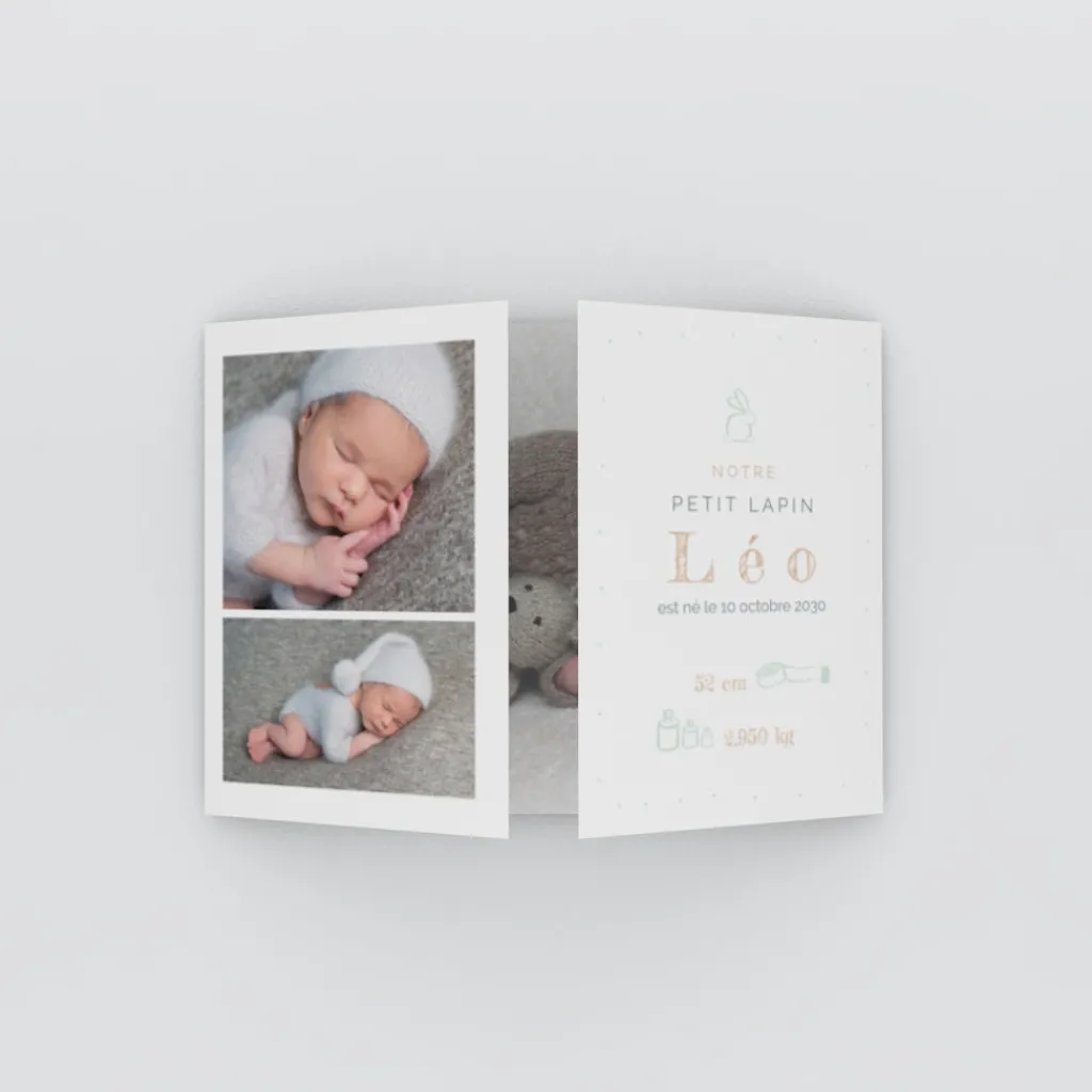 Faire-part Naissance Animaux | Faire-part Naissance Garçon^Planet cards Mon Petit Lapin