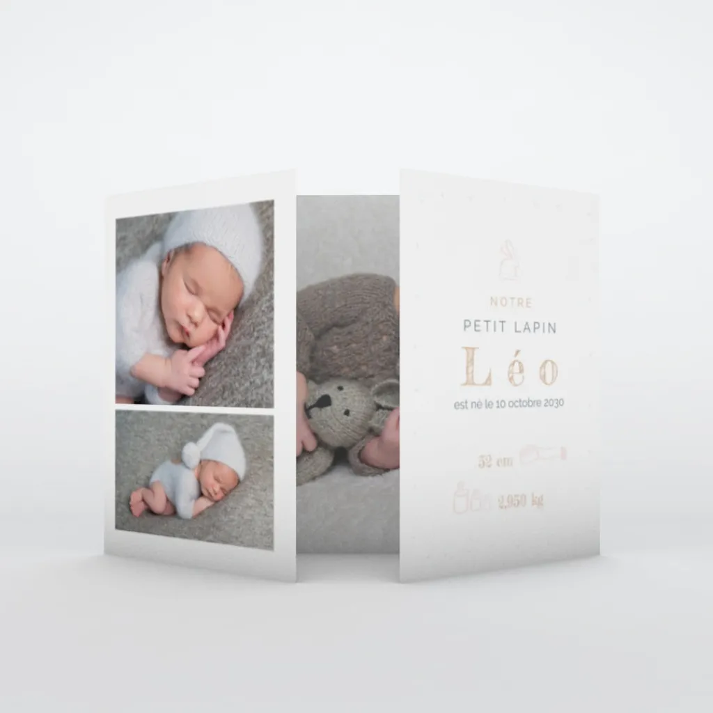 Faire-part Naissance Animaux | Faire-part Naissance Garçon^Planet cards Mon Petit Lapin