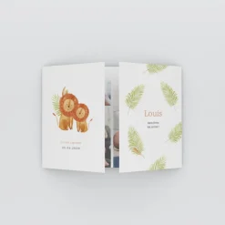 Faire-part Naissance Animaux | Faire-part Naissance Garçon^Planet cards Nos Petits Lions et Savane