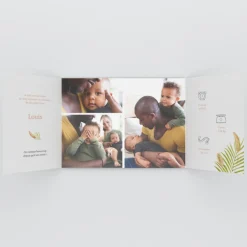 Faire-part Naissance Animaux | Faire-part Naissance Garçon^Planet cards Nos Petits Lions et Savane