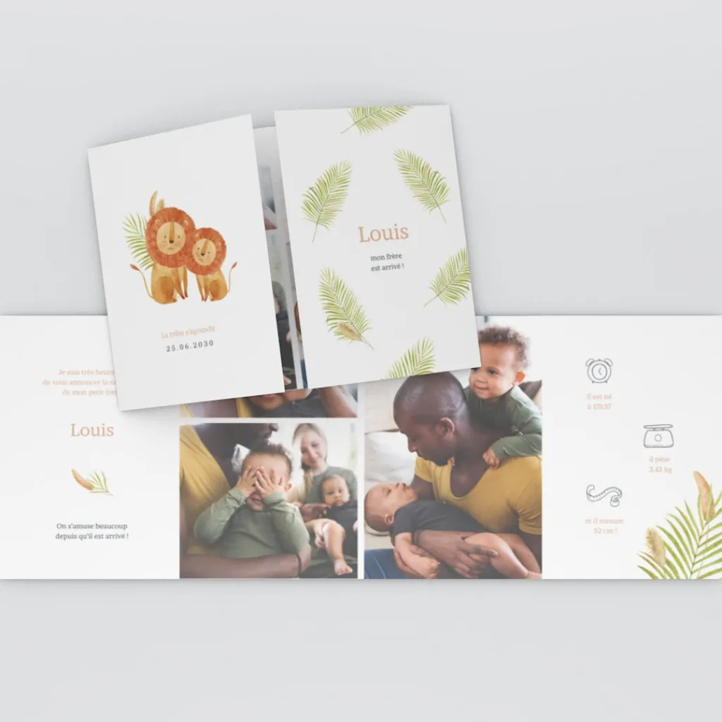 Faire-part Naissance Animaux | Faire-part Naissance Garçon^Planet cards Nos Petits Lions et Savane