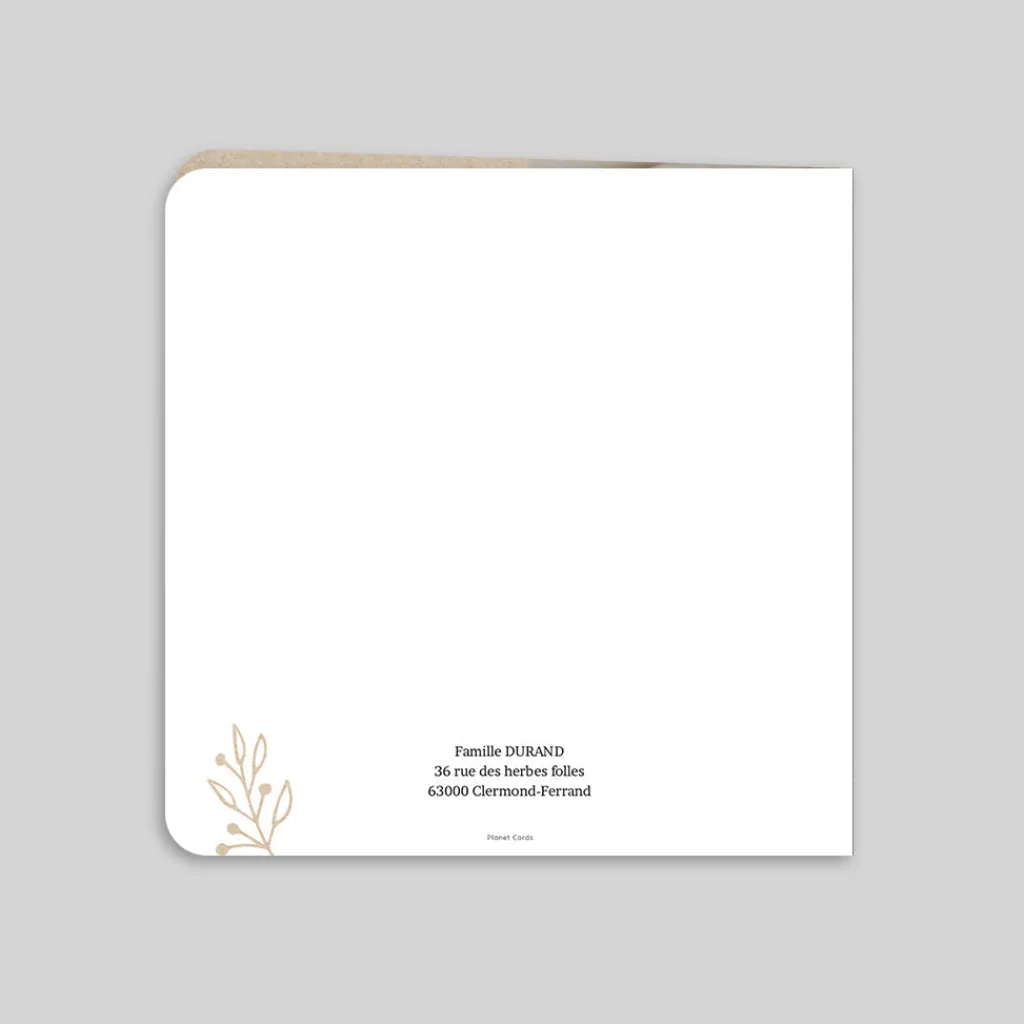 Faire-part Naissance Fille^Planet cards Notre Plus Bel Hiver