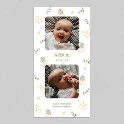 Faire-part Naissance Garçon | Faire-part Naissance Animaux^Planet cards Oeuf et Dinosaure