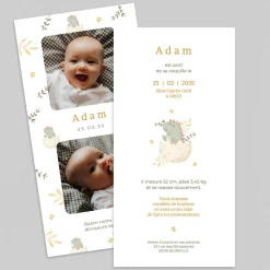 Faire-part Naissance Garçon | Faire-part Naissance Animaux^Planet cards Oeuf et Dinosaure