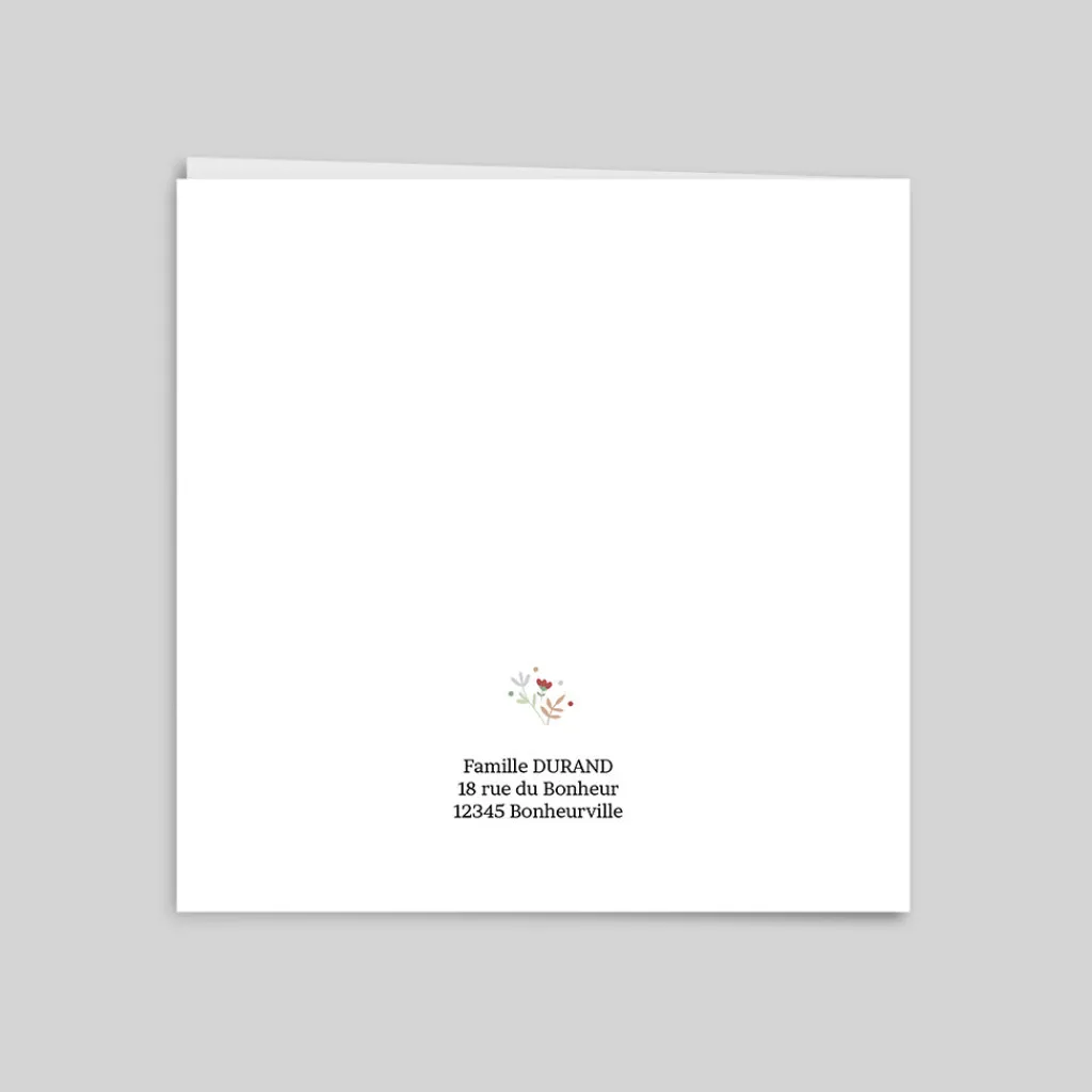 Faire-part Naissance Animaux | Faire-part Naissance Fille^Planet cards Ours et Liberty