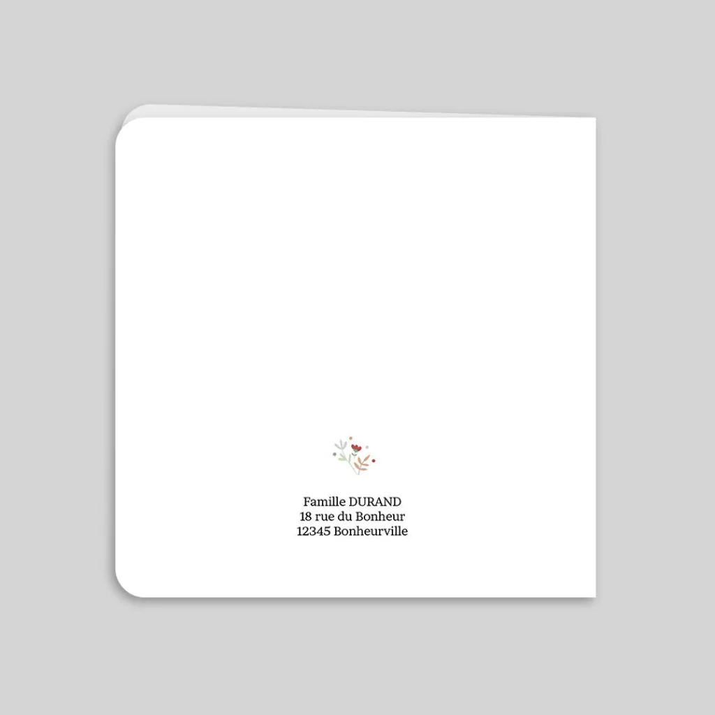 Faire-part Naissance Animaux | Faire-part Naissance Fille^Planet cards Ours et Liberty