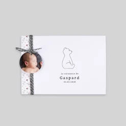 Faire-part Naissance Animaux | Faire-part Naissance Fille^Planet cards Ours et Liberty