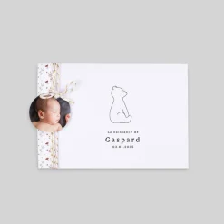 Faire-part Naissance Animaux | Faire-part Naissance Fille^Planet cards Ours et Liberty