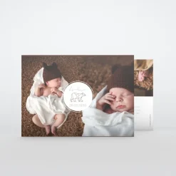 Faire-part Naissance Animaux | Faire-part Naissance Garçon^Planet cards Ours Origami