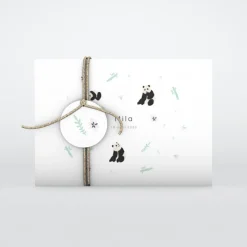 Faire-part Naissance Animaux^Planet cards Panda Nature