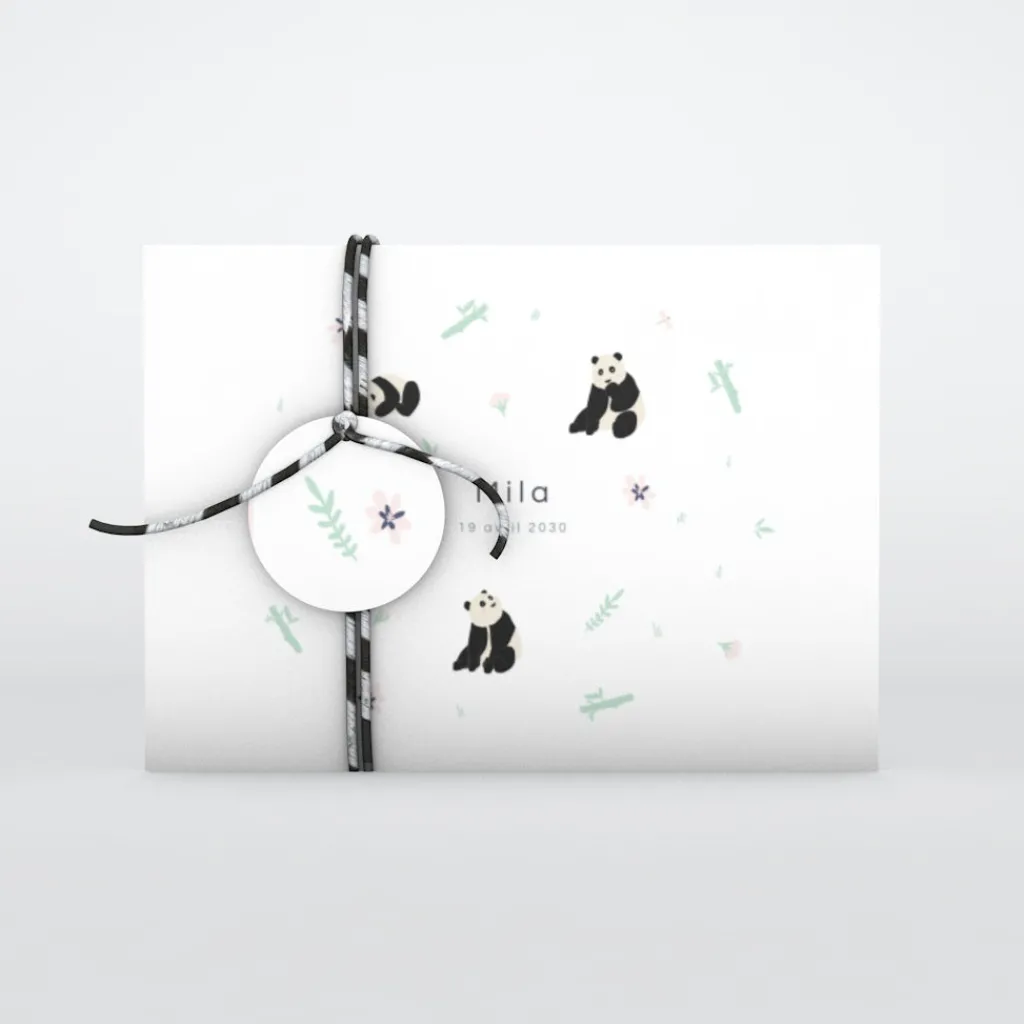Faire-part Naissance Animaux^Planet cards Panda Nature
