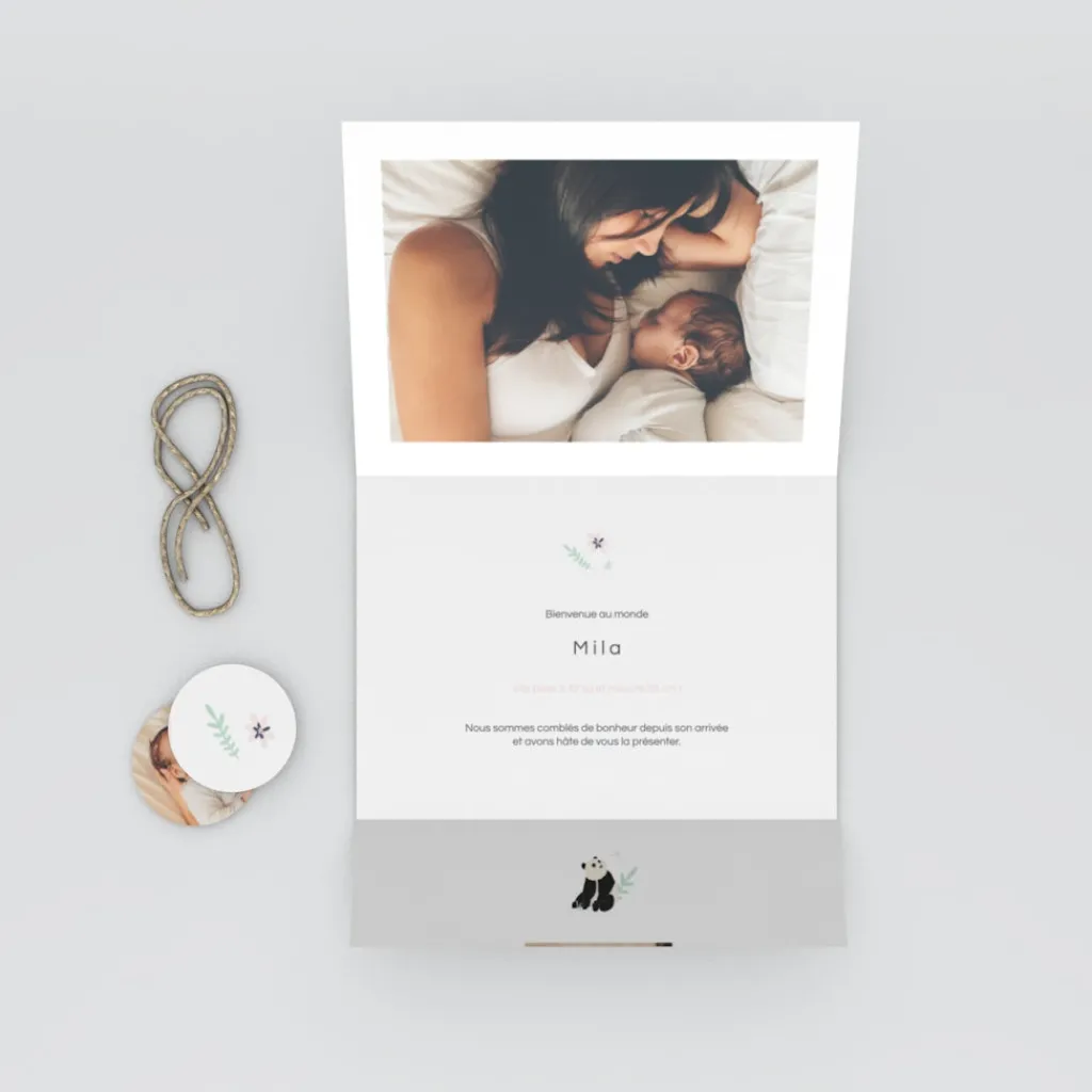 Faire-part Naissance Animaux^Planet cards Panda Nature