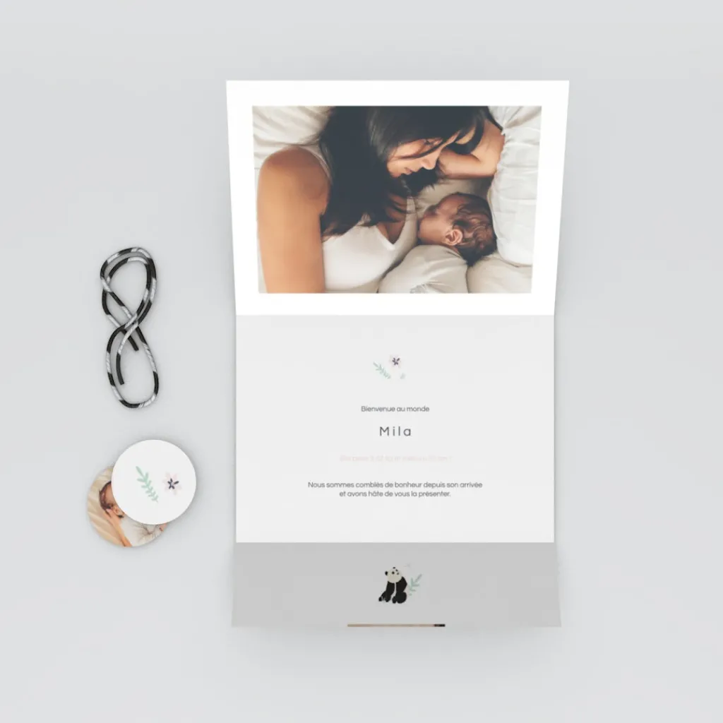 Faire-part Naissance Animaux^Planet cards Panda Nature