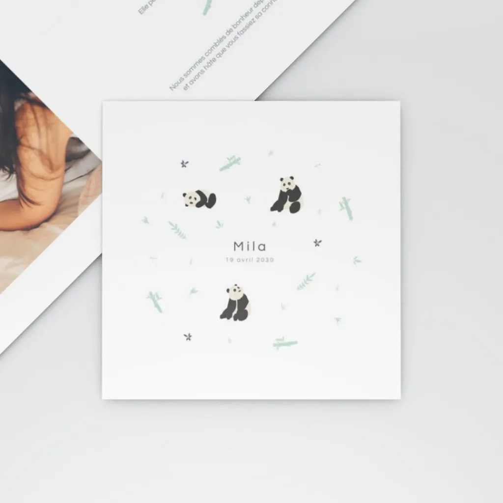 Faire-part Naissance Animaux^Planet cards Panda Nature