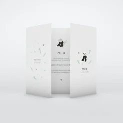 Faire-part Naissance Animaux^Planet cards Panda Nature