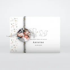 Faire-part Naissance Animaux | Faire-part Naissance Fille^Planet cards Petit Écureuil et Liberty