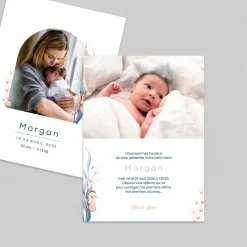Faire-part Naissance Animaux^Planet cards Petit Hippocampe