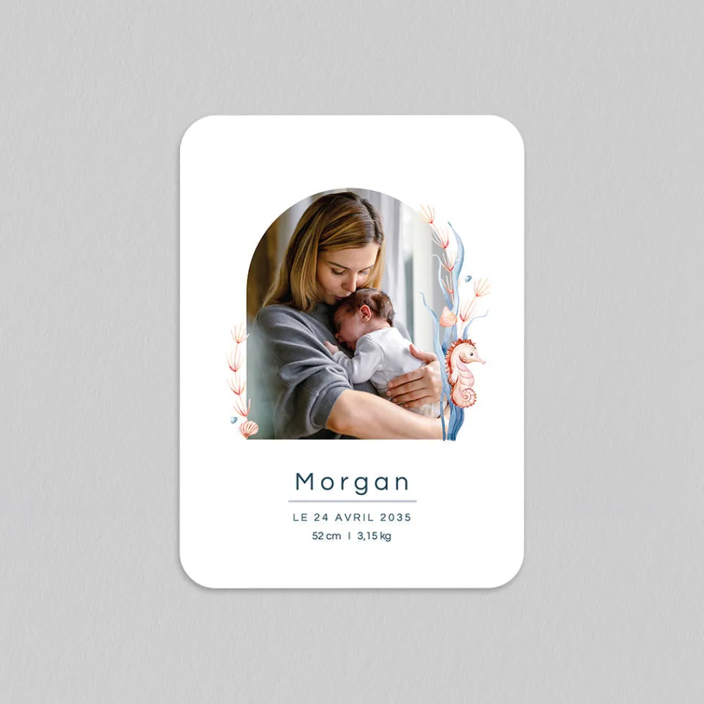 Faire-part Naissance Animaux^Planet cards Petit Hippocampe
