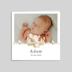 Faire-part Naissance Animaux | Faire-part Naissance Fille^Planet cards Petit Lapin