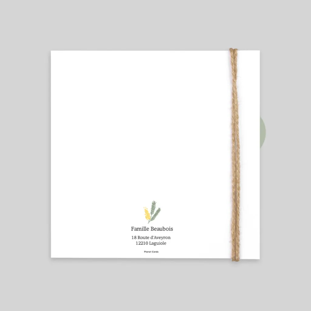 Faire-part Baptême Champêtre^Planet cards Petit Mimosa Champêtre
