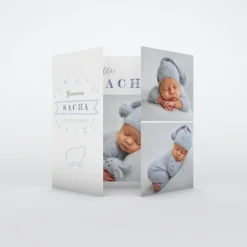 Faire-part Naissance Animaux | Faire-part Naissance Fille^Planet cards Petit Ours