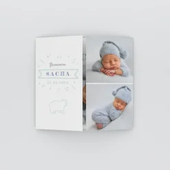 Faire-part Naissance Animaux | Faire-part Naissance Fille^Planet cards Petit Ours