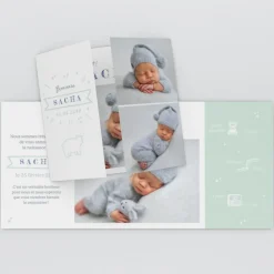 Faire-part Naissance Animaux | Faire-part Naissance Fille^Planet cards Petit Ours