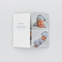 Faire-part Naissance Animaux | Faire-part Naissance Fille^Planet cards Petit Ours