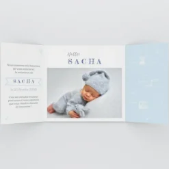Faire-part Naissance Animaux | Faire-part Naissance Fille^Planet cards Petit Ours