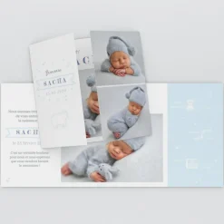 Faire-part Naissance Animaux | Faire-part Naissance Fille^Planet cards Petit Ours